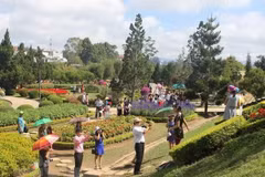 Eighth Da Lat Flower Festival to take place in December