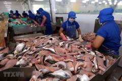 Vietnam’s tra fish exports to ASEAN up 18 percent