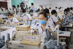 Labour market records positive figures in six months