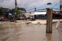 Erosion pushes Ca Mau’s eastern coast to emergency status