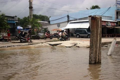 Erosion pushes Ca Mau’s eastern coast to emergency status