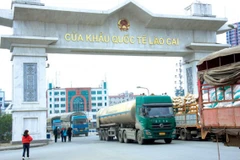 Trade through Lao Cai international border gate goes down 