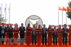 Can Tho works to enhance investment, trade bond with Japan 
