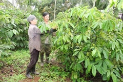 Social policy credit proves useful for poverty reduction: meeting