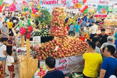 Binh Thuan’s dragon fruits promoted in Hanoi