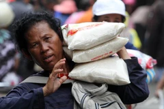 Thailand’s rice exports troubled by strong baht