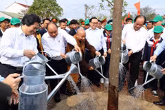 Government leader underlines significance of tree planting