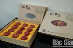 Bac Giang farmers happy as litchi revenue hits all-time high