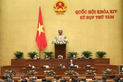 Legislators discuss socio-economic development for ethnic minorities 