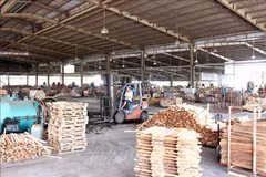 EVFTA to sustainably boost Vietnam’s wood exports to EU
