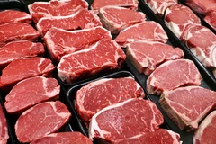 Brazil plans to export live cattle to Malaysia