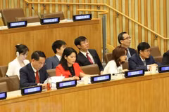 Vietnam attends Supreme Audit Institution leadership meeting in New York 