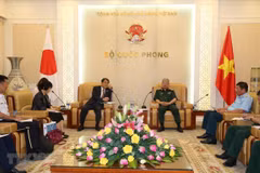 Vietnam, Japan boost cooperation in war consequence settlement 