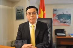 EU-Vietnam trade, investment deals important to both sides: diplomat