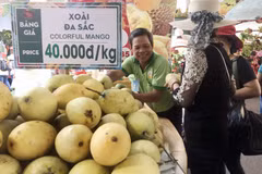 Southern fruit festival begins in HCM City 