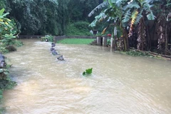 Heavy rains inundate over 900 houses in Cao Bang