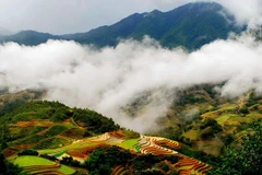 Sa Pa district-level town to be formally established on January 1, 2020 