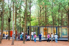  “Art in the Forest" exhibition opens