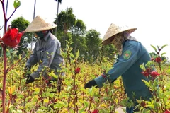 Measures deployed to lure more investment to agriculture