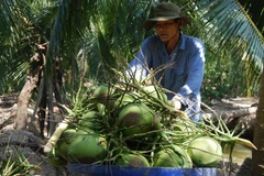E-commerce needs new push to reach rural areas