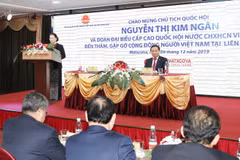 NA Chairwoman meets Vietnamese community in Russia 