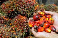 Indonesia threatens to ban some European goods