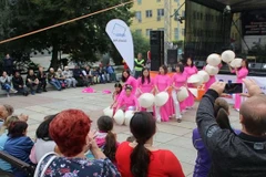 Vietnamese expats in Czech Republic joins multicultural festival 
