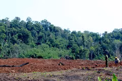 Community-based forest management the way forward