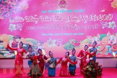 Vietnam Embassy in Laos welcomes Lunar New Year 