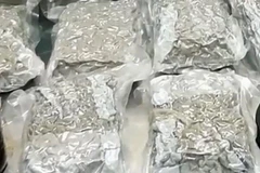 Gang caught while smuggling drugs from Cambodia