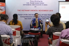 Vietnam's Month to be held in India 