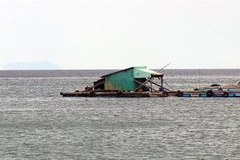 Kien Giang expands marine aquaculture on industrial scale