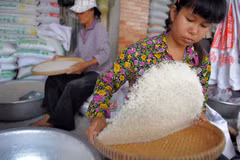 Cambodia's economy continues to enjoy robust growth