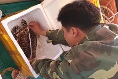 Management board tries to keep Con Dao National Park clean
