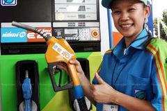 Thailand promotes use of biofuel to support agriculture 