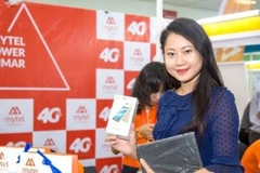 Vietnamese firms invest 460 million USD abroad in 11 months