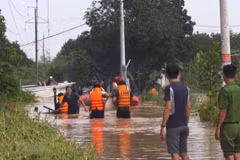 Vietnam, Japan share measures to cope with flash flood, landslides