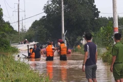Vietnam, Japan share measures to cope with flash flood, landslides