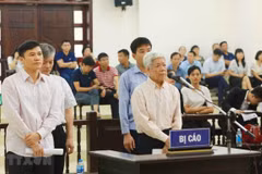 Hanoi court starts hearing appeal in Vinashin case 