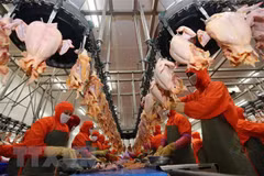 Food industry holds great potential for investment attraction