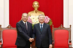 Party official: Vietnam does best to foster ties with Laos 