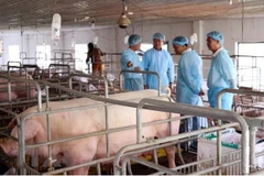 Agriculture sector expands by 2.02 pct in nine months 
