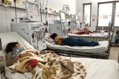Medical workers in Thua Thien – Hue receive training in rehabilitation