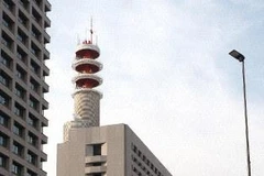 Vietnamese workers die in Tokyo construction site