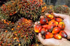 Indonesia threatens to ban some European goods