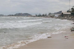 Vietnam learns from int’l experience in marine spatial planning