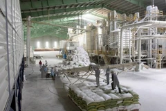 Only three SOEs have equitisation plans approved in five months