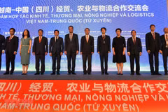 Vietnam, China step up cooperation in trade, agriculture, logistics 