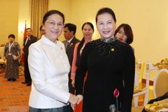 Vietnamese NA pledges to share working experience with Laos 