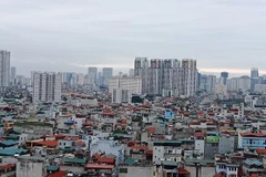 Domestic property market to have enough capital next year